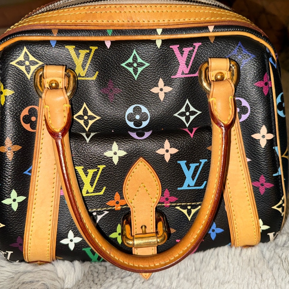 Louis Vuitton Multicolor Women's Bag